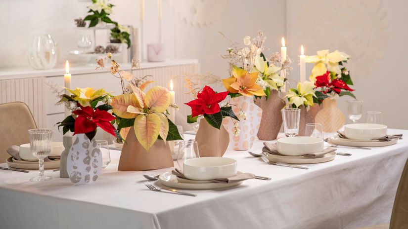 Vianoce, stolovanie, dekorácie, decor, výzdoba,...