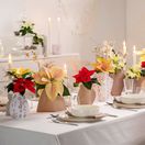 Vianoce, stolovanie, dekorácie, decor, výzdoba, vianočný stôl, vianočná ruža,