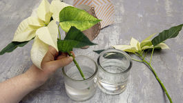 vianočná ruža, dekorácia, vianoce, váza, krok za krokom, urob si sám, projekt, tapeta, výroba, ako na to, 5