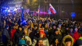 20250212 pochod MVO 03177082-min