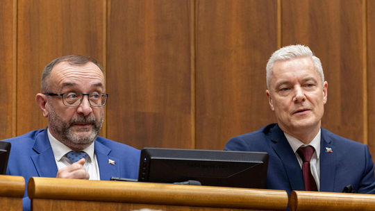 Hlasovanie o Ferenčákovi sa odkladá. Politológovia: Môže byť hviezda, pozícia vlka samotára mu vyhovuje