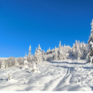 sneh, Kráľova hoľa, mReportér