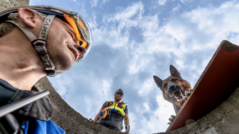 Záchranársky pes musí trénovať aj po tom, čo už...