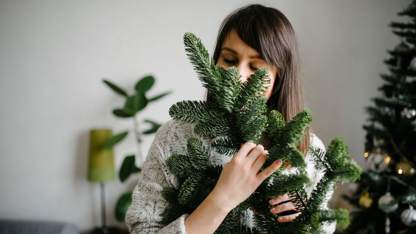 čečina, 1359412199