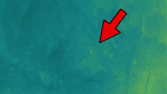 VIDEO: V Petržalke sa za tmy stratil 82-ročný muž. Takto ho polícia vypátrala pomocou dronu s termovíziou