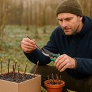odrezky, rozmnožovanie, vegetatívne rozmnožovanie, okrasné kry, NEPOUŽÍVAŤ