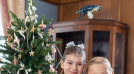 Vianočný špeciál - Dunaj, k vaším službám