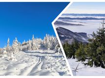 koláž, fotky, mReportér