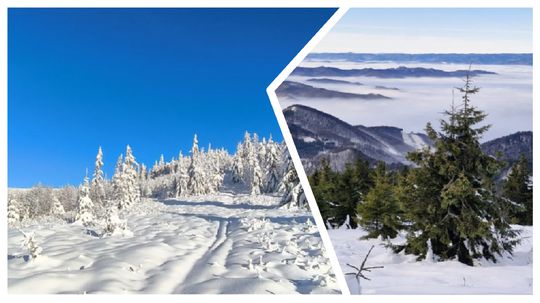 koláž, fotky, mReportér