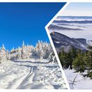 koláž, fotky, mReportér