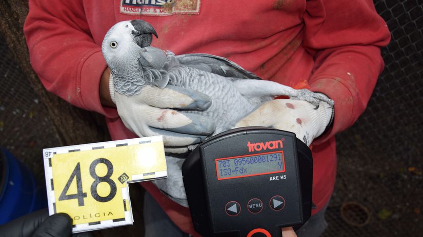 nelegálny chov, minizoo, polícia