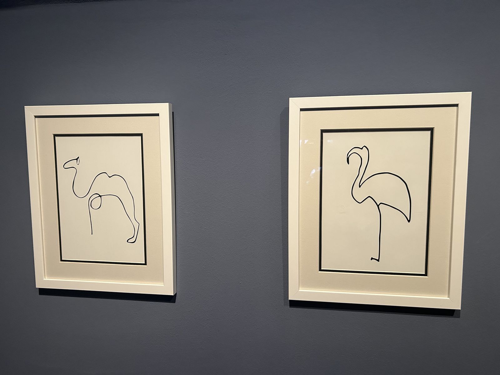 Obľúbeným námetom Picassa boli zvieratá.