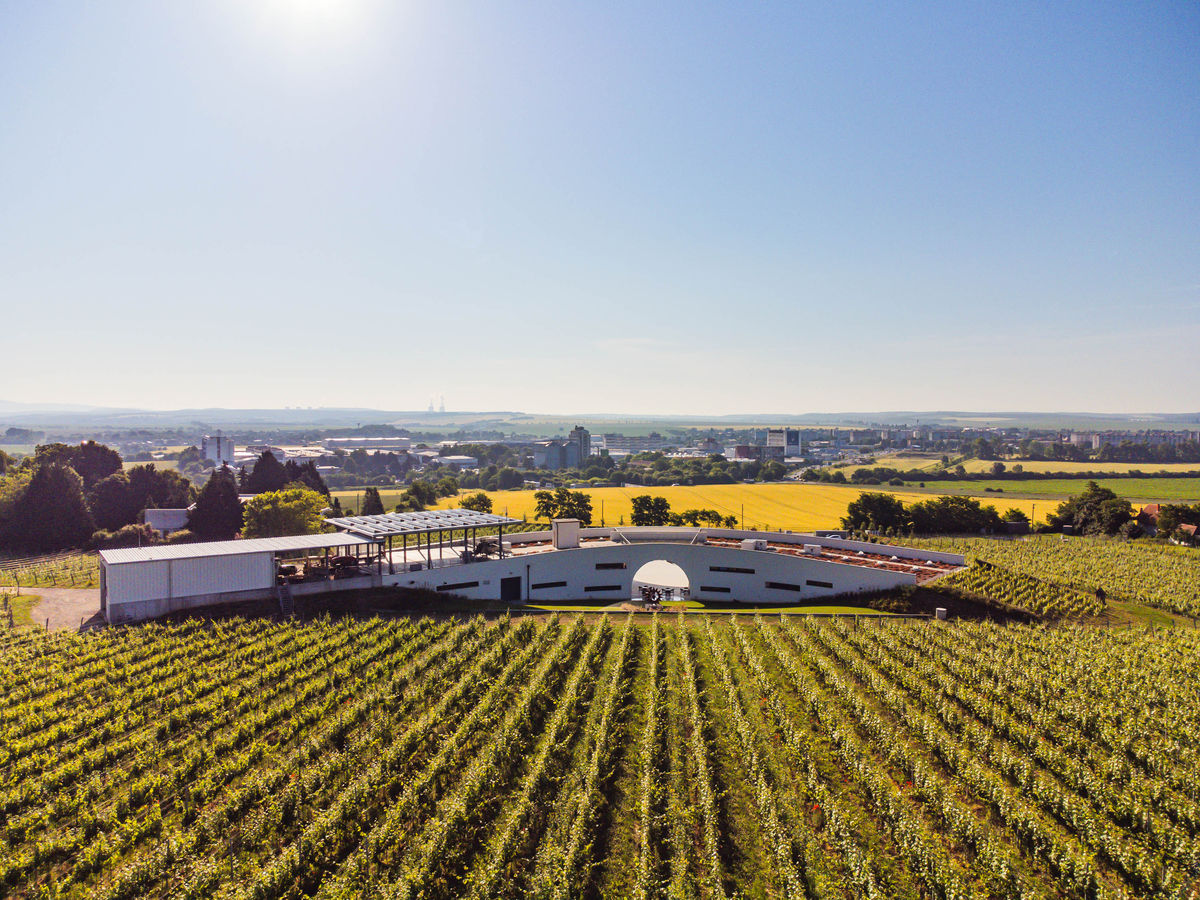 Predium Vráble: Do módy prišli svadby vo vinici.