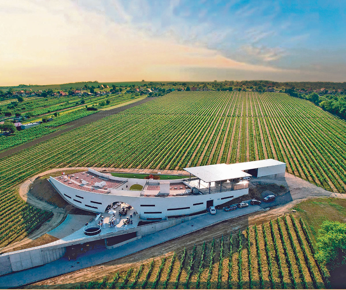 Predium Vráble: Vinica a pivnica jedno sú.