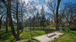 viedenska elektricka