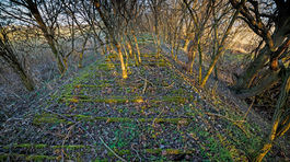 viedenska elektricka