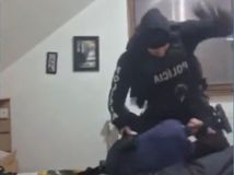 policajt dobil Čecha, Inšpekcia