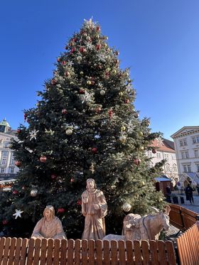 Vianočný stromček na Zelnom trhu v Brne.
