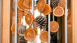 pomaranč, pomaranče, sušené pomaranče,