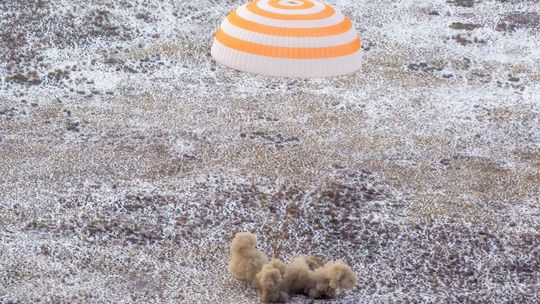 Na Zem sa vrátili traja členovia posádky ISS, vo vesmíre boli 245 dní