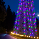 Vianočný strom, Vianoce, Guinnessov rekord,