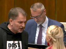 Igor Matovič, parlament