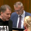 Igor Matovič, parlament