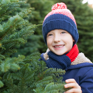 stromček, vianočný stromček, kúpa stromčeka,