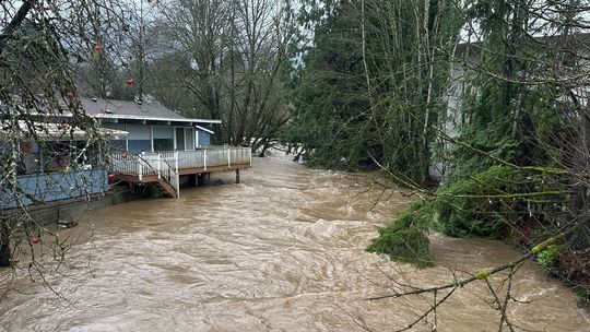 Voda stúpajúceho potoka zaplavila zadný dvor...