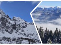 koláž, fotky, mReportér