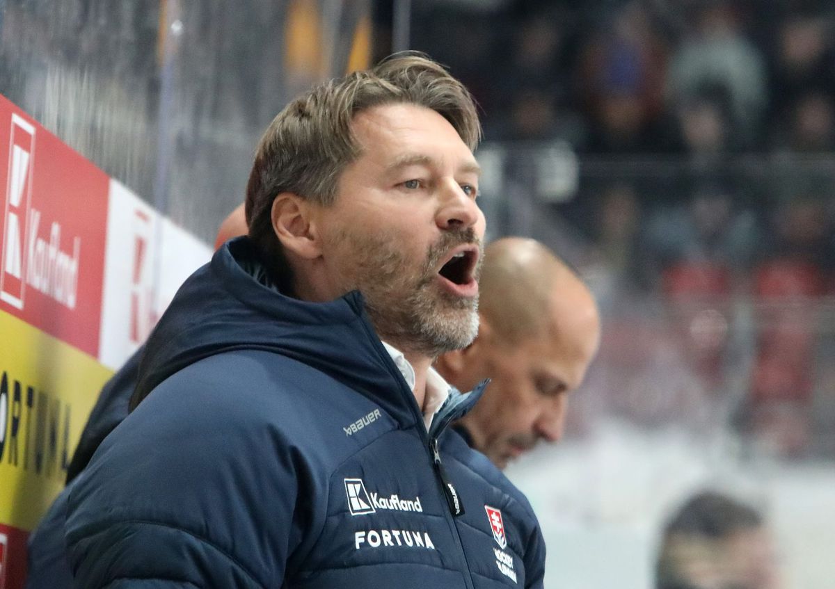 Vladimír Országh počas zápasu Slovensko -...