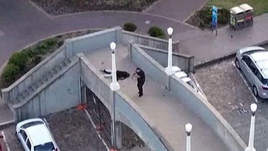 VIDEO: Masaker v Sydney z dronu. Strelec na moste, ľudia ležiaci pod ním