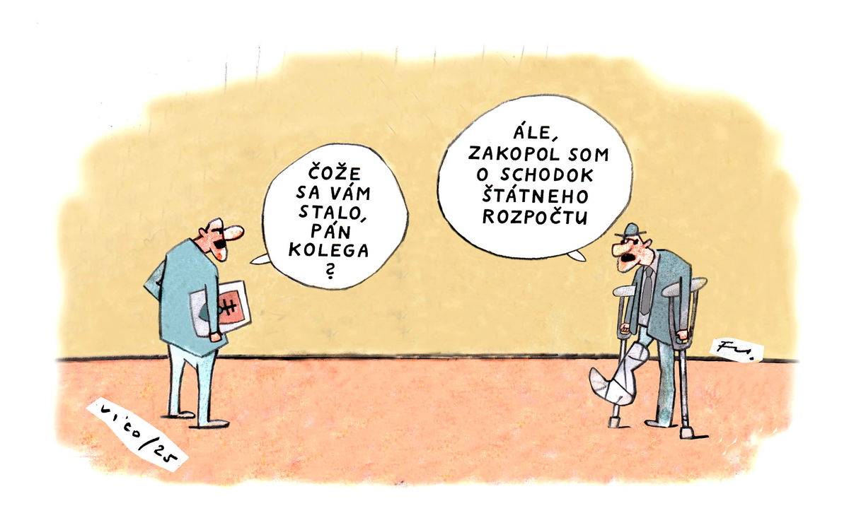 Karikatúra 15.12.2025