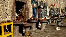 Trh (souk) v Essaouira.