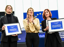 metsolová sacharovova cena