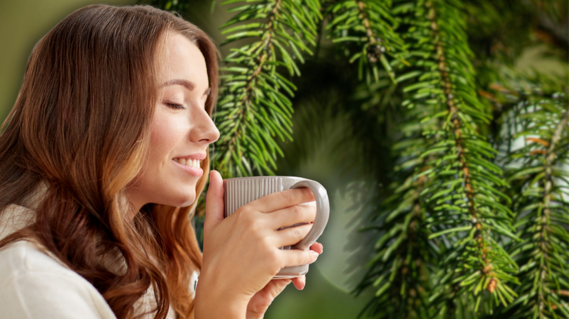 žena, čaj, ihličnan, ihličie,