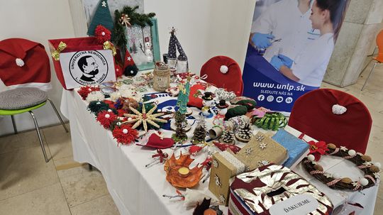 Dokážu tvoriť aj napriek boľavým dušiam. Klienti z psychiatrického stacionára predviedli svoje výrobky