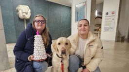 Klientom pomáha aj kanisterapia. O tú sa stará...