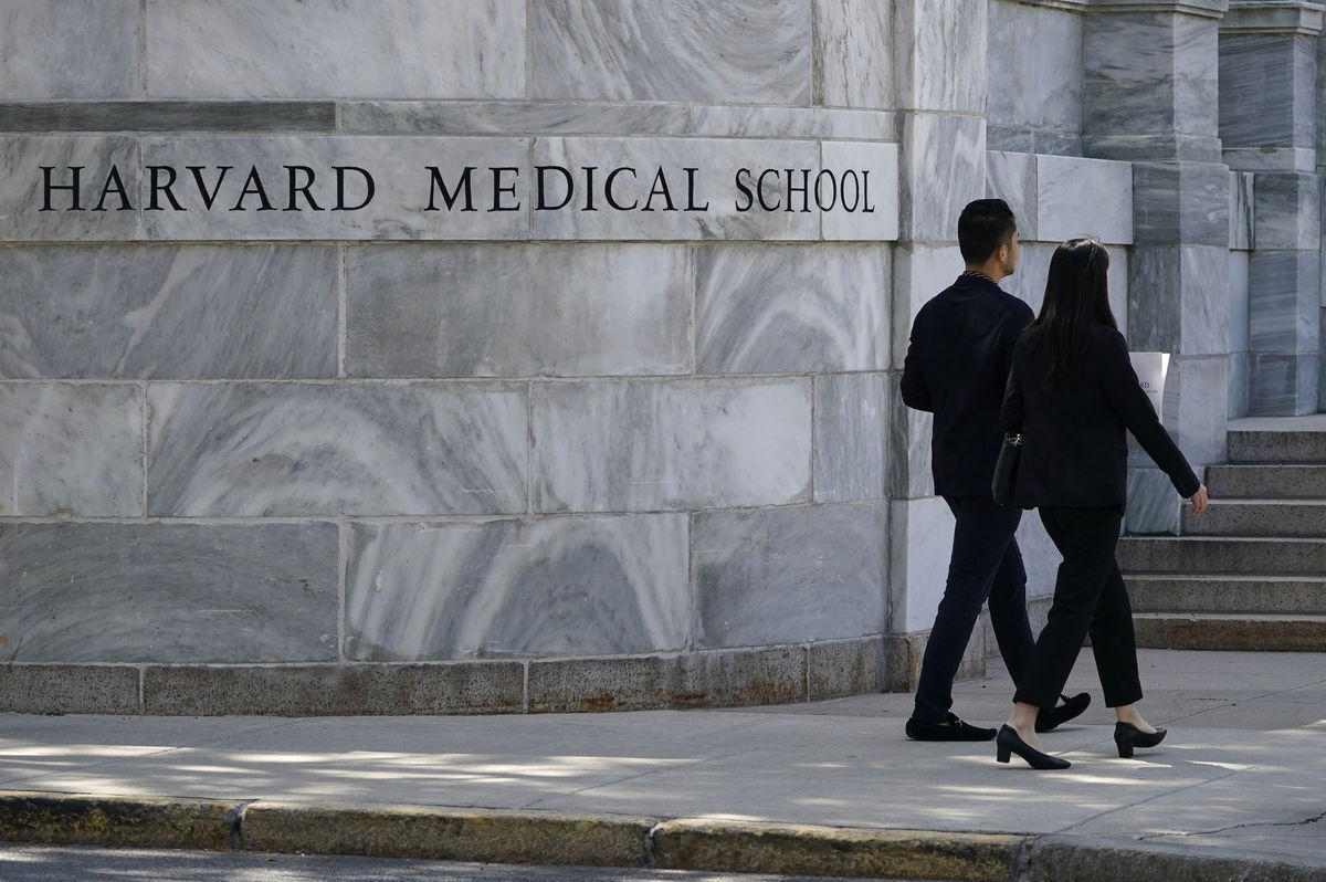 harvard medical school