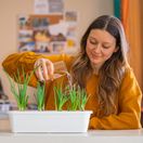 žena, cibuľa, pestovanie v byte, črepník, polievanie, pestovanie zeleniny,  2458984745