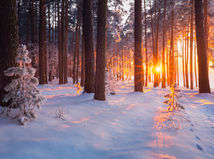 zimná krajina, západ slnka, sneh, mráz, les,  1172727352