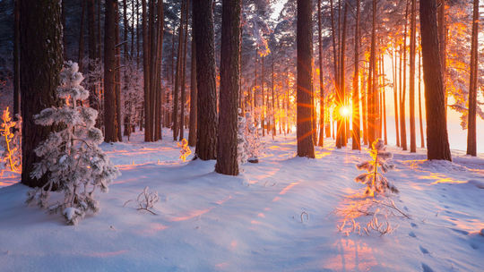 Na hrebeni Malých Karpát bola dopoludnia pocitová teplota mínus 19 stupňov