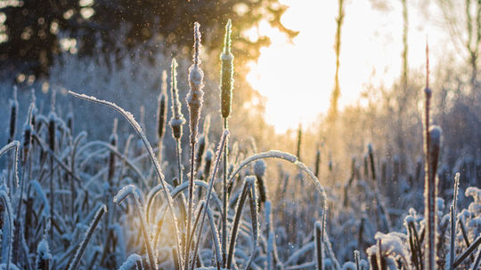 Slovensko čaká dynamické počasie. Prídu studené fronty a na mnohých miestach napadne sneh