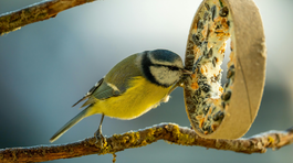 Aj rulička z tvrdého kartónu sa dá naplniť...