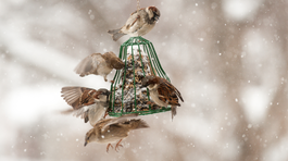 Takéto kovové schránky či už v tvare zvončeka...