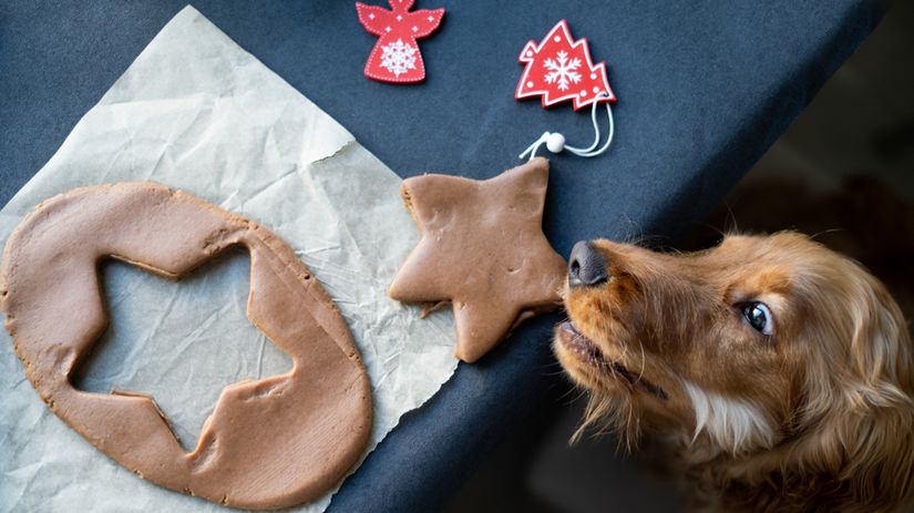 Vianoce, sviatky, jedlo, pes, 2240882945