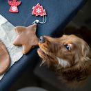 Vianoce, sviatky, jedlo, pes, 2240882945