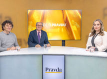 Bohumil Búzik, Viliam Páleník, Ide o pravdu