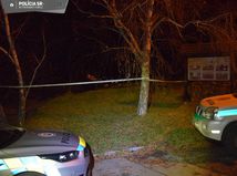 polícia, levice, kalvária