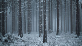 Divé zvieratá z Považského Inovca očami...